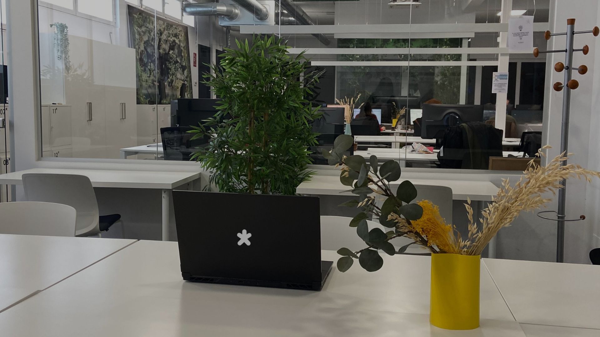 HOT DESK COWORKING MADRID